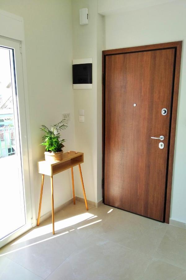 Amazing Top-Floor Oasis Apartment Athens Exterior photo